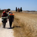 Trekking Val d'Orcia